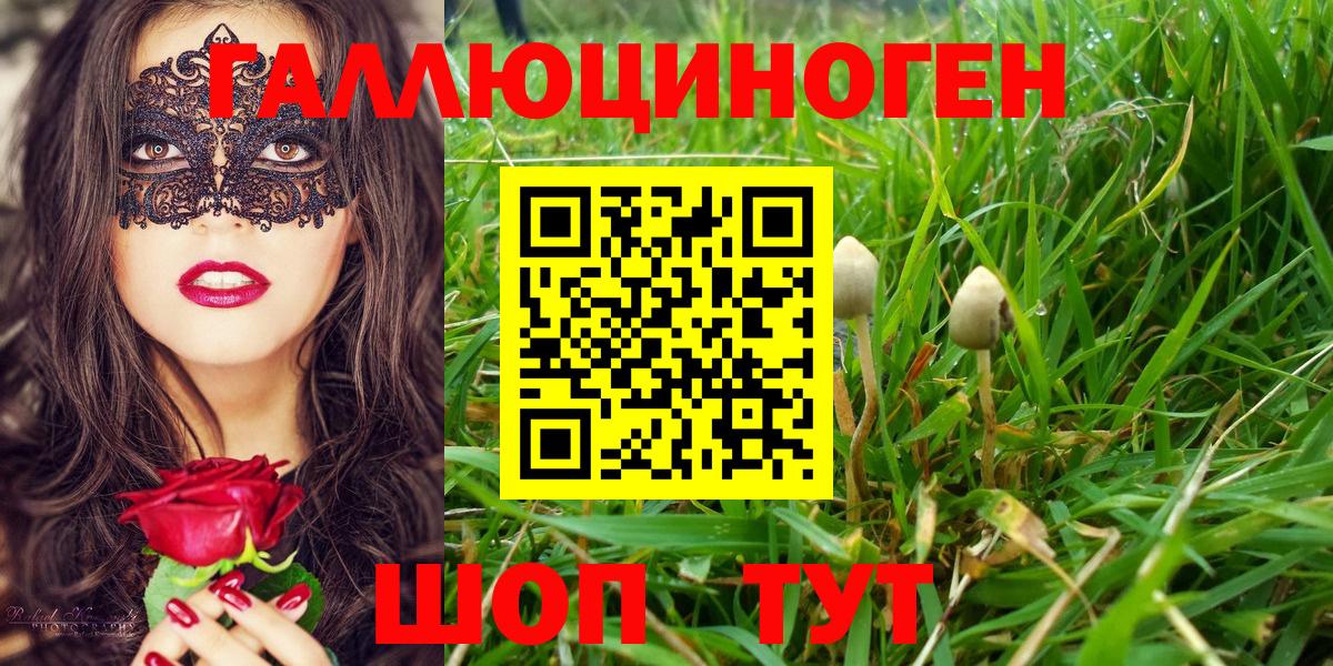 Коломна  Псилоцибиновые грибы Psilocybine cubensis  Вход с VPN 